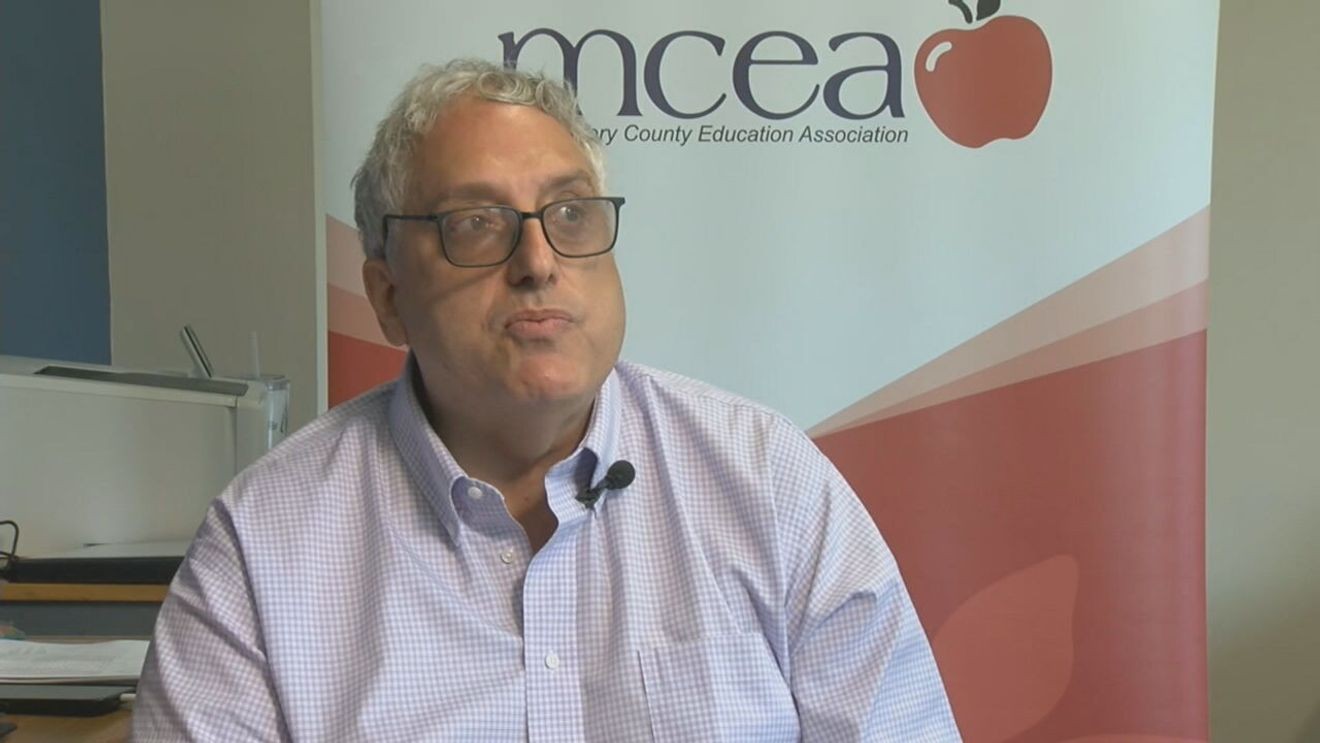 David Stein